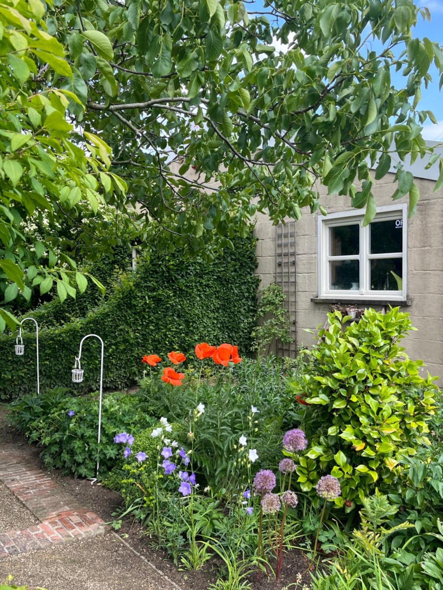 Logies Tuin Der Zinnen Rijkevorsel Eksteriør billede