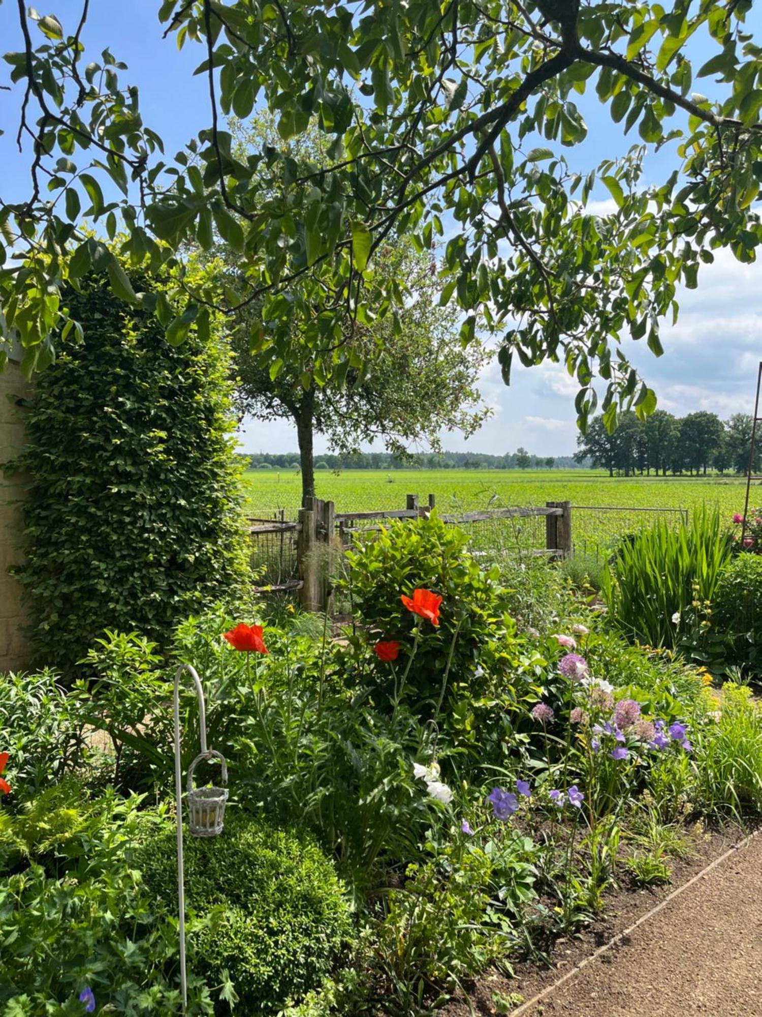 Logies Tuin Der Zinnen Rijkevorsel Eksteriør billede