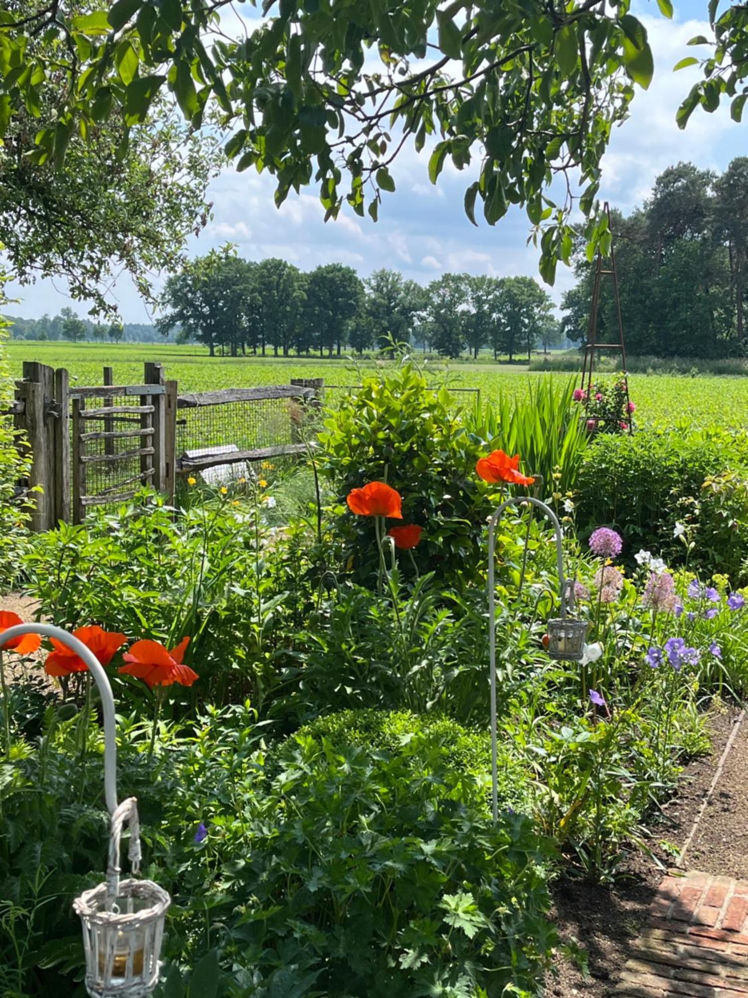 Logies Tuin Der Zinnen Rijkevorsel Eksteriør billede