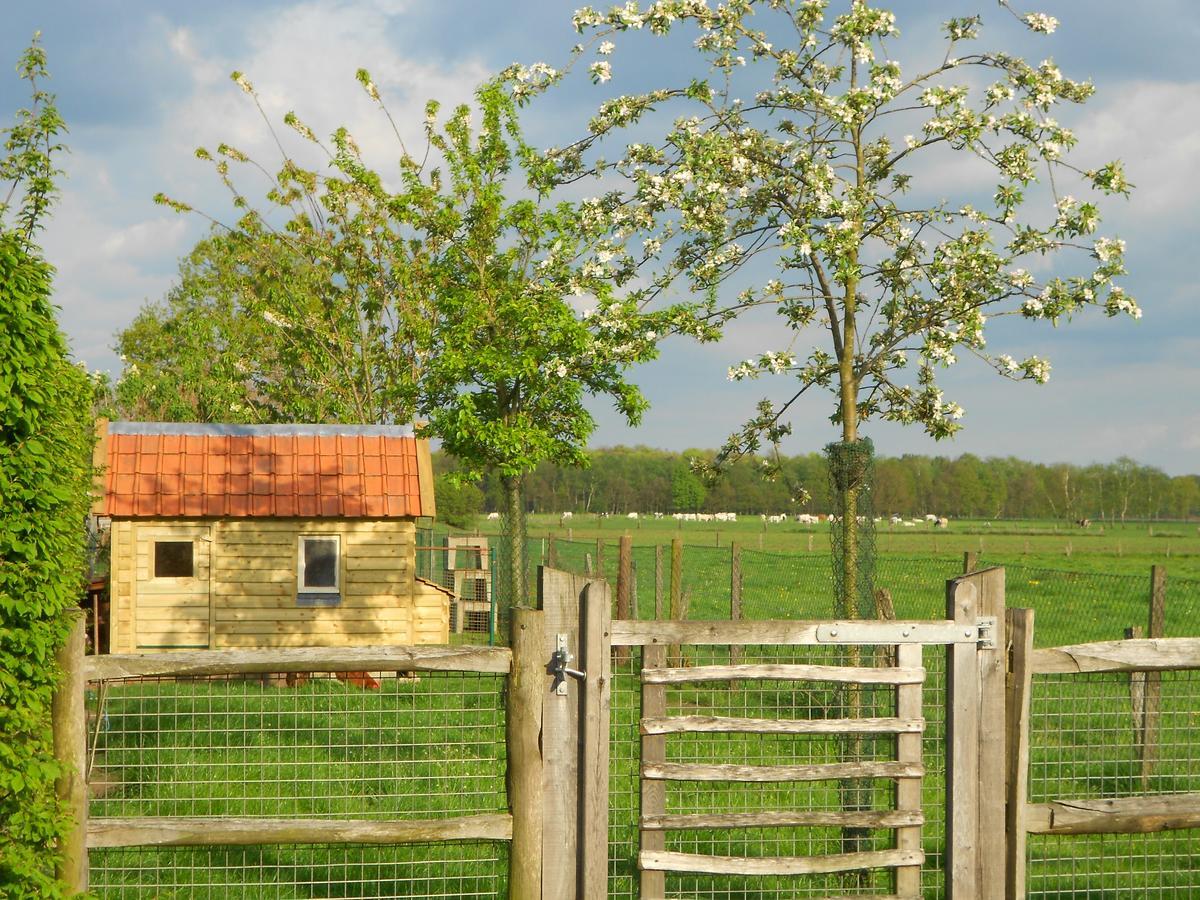 Logies Tuin Der Zinnen Rijkevorsel Eksteriør billede